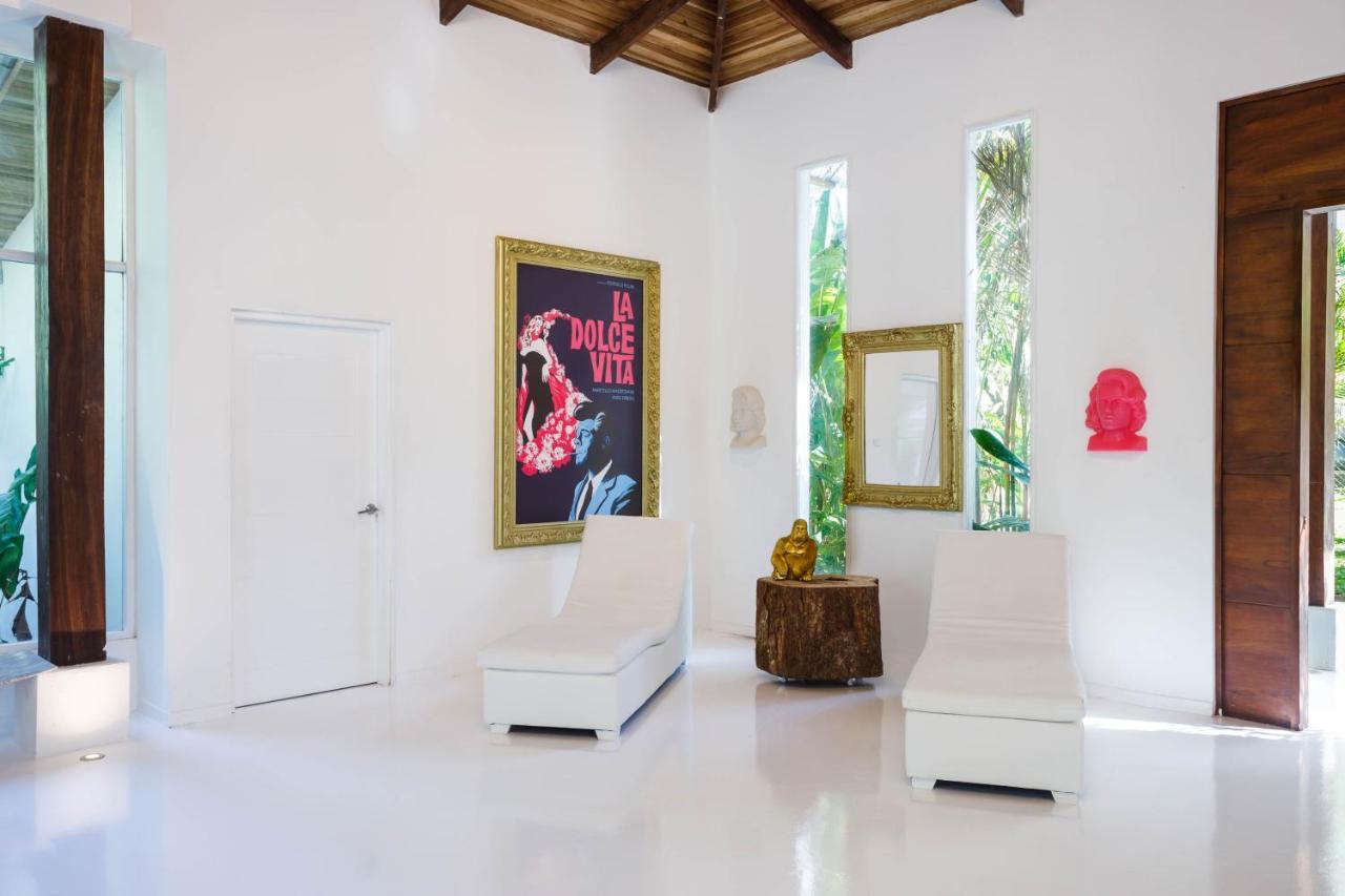 Gigi Brown Villa Paparazzi Beachfront Puerto Viejo de Talamanca Exteriör bild