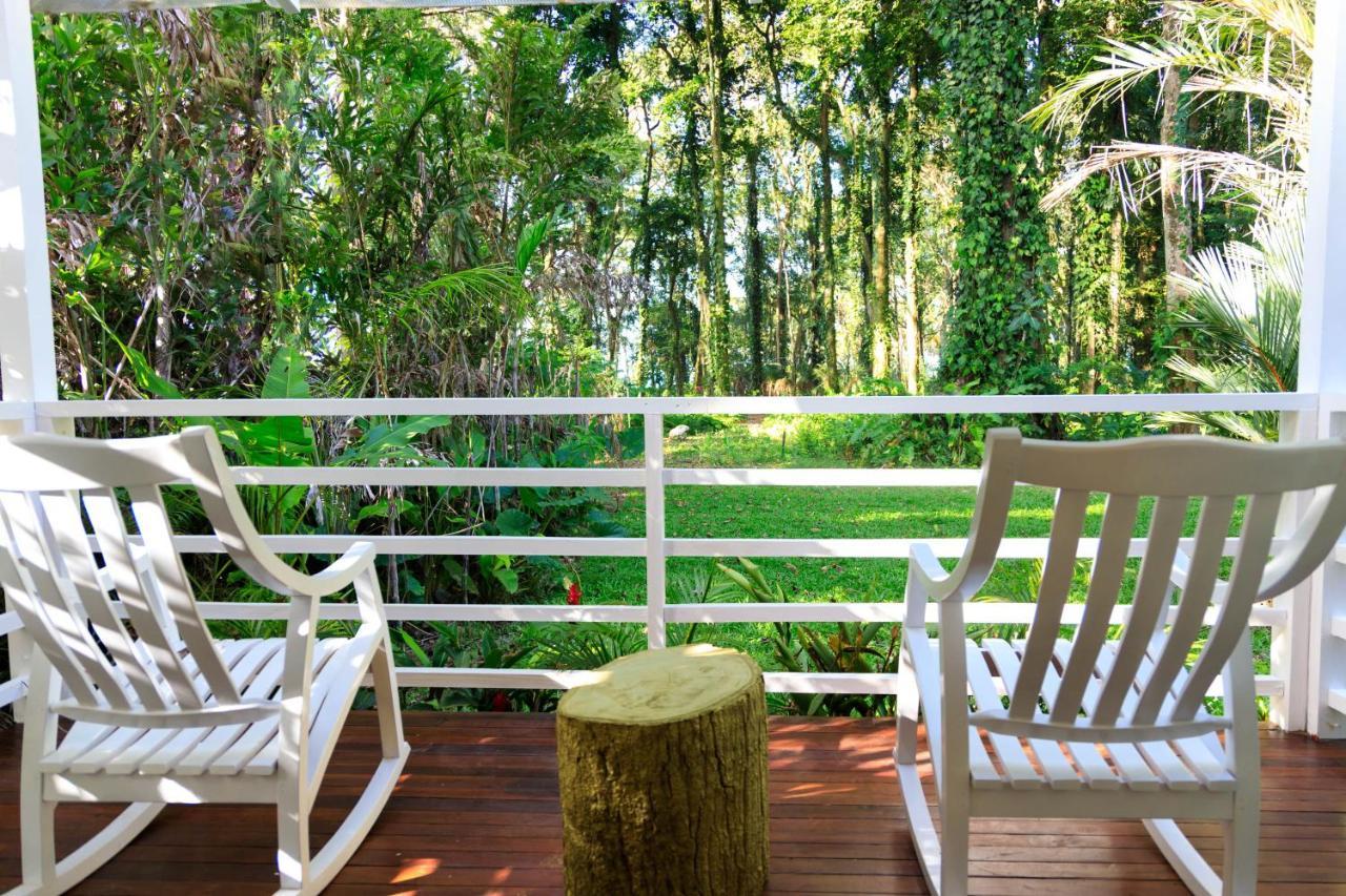 Gigi Brown Villa Paparazzi Beachfront Puerto Viejo de Talamanca Exteriör bild